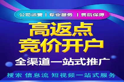 案例对比：关键词竞价排名的优劣